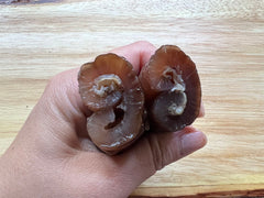 Wild Türkiye Dried Sea Cucumber  野生土耳其黑米刺参 (Mi Ci Shen)