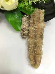 4A Wild Sri Lanka Dried Sea Cucumber 4A 野生斯里兰卡黄玉参(Curryfish)